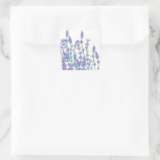 Lavendel Veld Stickers (Tas)
