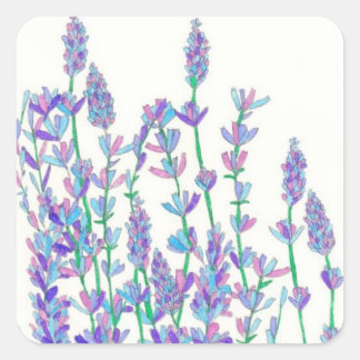 Lavendel Veld Stickers