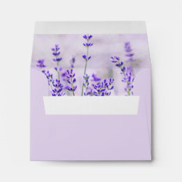 Lavendel Velden Wedding Note Kaart Envelope Envelop