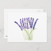 Lavendel Waterverf Paarse Bloemen Rustiek Briefkaart (Voorkant / Achterkant)