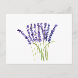 Lavendel Waterverf Paarse Bloemen Rustiek Briefkaart