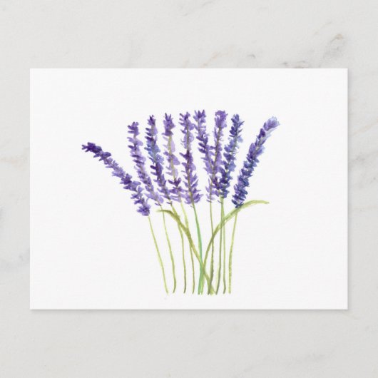 Lavendel Waterverf Paarse Bloemen Rustiek Briefkaart (Voorkant)