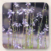 Lavendel Wilde Bloemen Onderzetter (Voorkant)