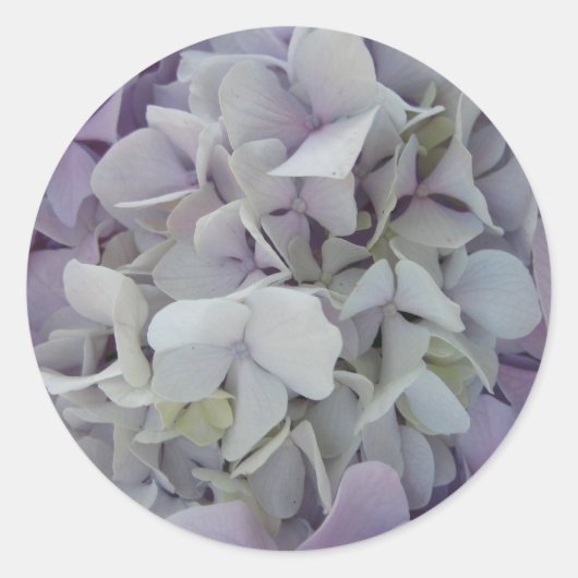 Lavendel/Witte Hydrangea Sticker (Voorkant)