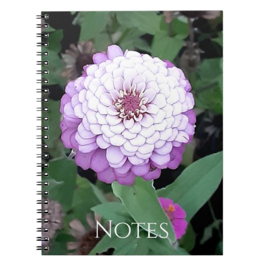 Lavendel Zinnia Notitieboek (Voorkant)