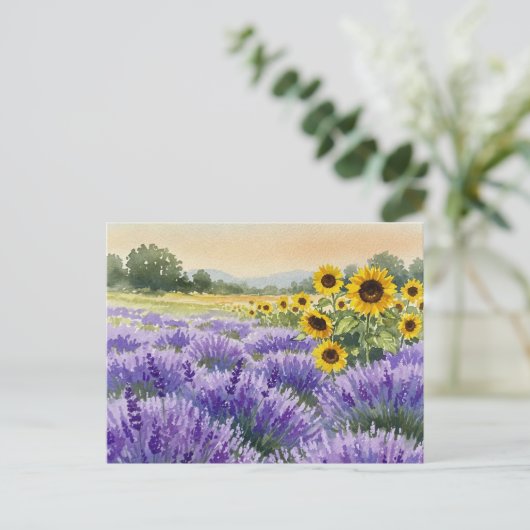 Lavendel Zonnebloem Veld Zomer Provence Briefkaart (Staand voorkant)