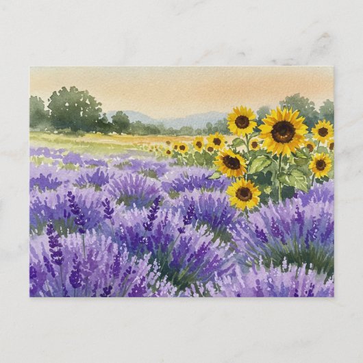 Lavendel Zonnebloem Veld Zomer Provence Briefkaart (Voorkant)