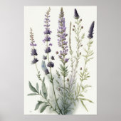 Lavendelbloemen Art Print Poster (Voorkant)