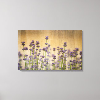  lavendelbloemen canvas afdruk