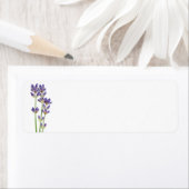 Lavendelbloemen geïsoleerd op een witte achtergron etiket (Insitu)