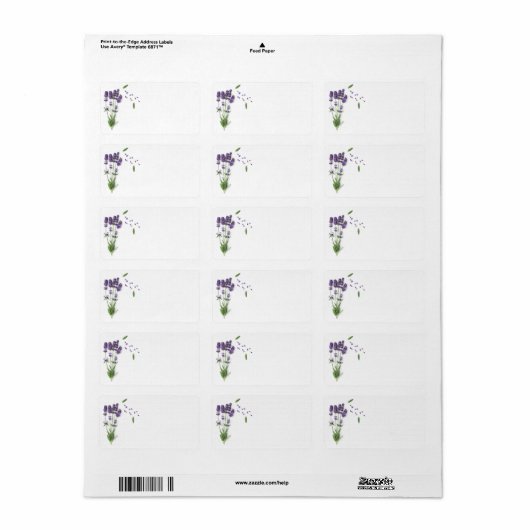 Lavendelbloemen geïsoleerd op een witte achtergron etiket (Full Sheet)