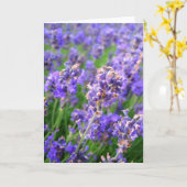 Lavendelbloemen - Kaart (Gele Bloem)