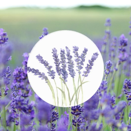 Lavendelbloemen Paarse Bloemen Waterverf Ronde Sticker