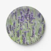 Lavendelbloemen Papieren Bordje (Voorkant)