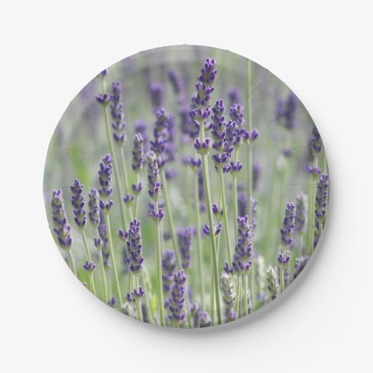 Lavendelbloemen Papieren Bordje (Voorkant)