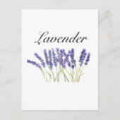 Lavendelbloemen watercolor kruiden paars chic briefkaart (Voorkant)