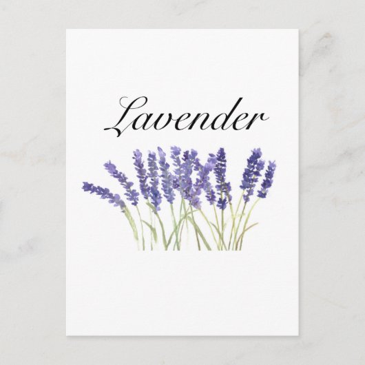 Lavendelbloemen watercolor kruiden paars chic briefkaart (Voorkant)