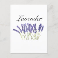 Lavendelbloemen waterverf kruiden paars chic