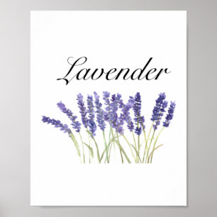 Lavendelbloemen waterverf kruiden paars chic poster
