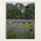 Lavendelboerderij Planner (Voorkant)