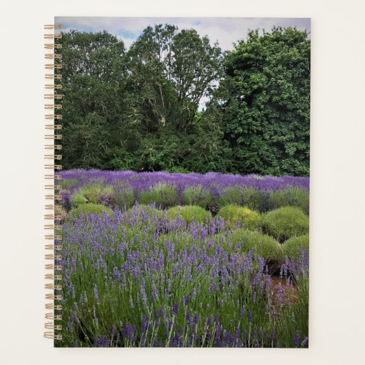 Lavendelboerderij Planner (Voorkant)