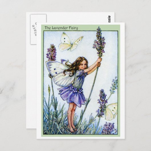 lavendelfee briefkaart (Voorkant / Achterkant)