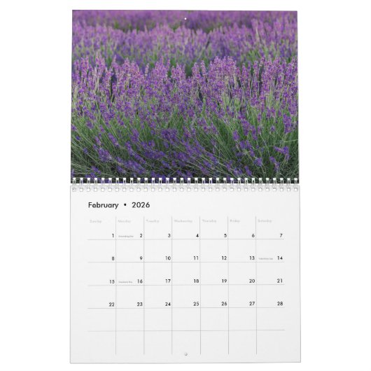 Lavendelfoto's van Frankrijk Home Decor Kalender (Feb 2026)