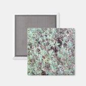 lavendelmagneet magneet (Voorkant / Achterkant)