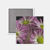 Lavendelmagneet Magneet (Voorkant / Achterkant)