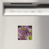 Lavendelmagneet Magneet (Insitu (Vaatwasser))