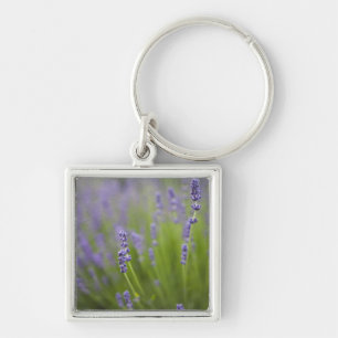 Lavendelplanten 2 sleutelhanger