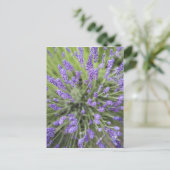 Lavendelplanten Briefkaart (Staand voorkant)