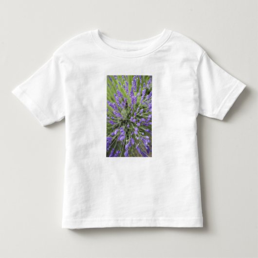 Lavendelplanten Kinder Shirts (Voorkant)