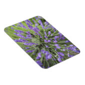 Lavendelplanten Magneet (Rechterzijde)