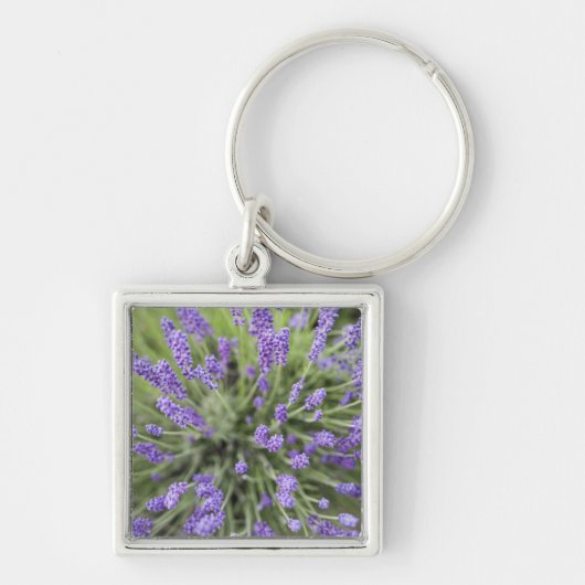 Lavendelplanten Sleutelhanger (Voorkant)
