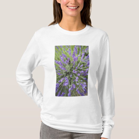 Lavendelplanten T-shirt (Voorkant)