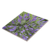Lavendelplanten Tegeltje (Zijkant)