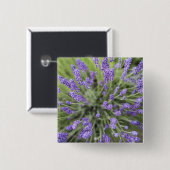Lavendelplanten Vierkante Button 5,1 Cm (Voorkant /achterkant)