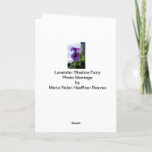 lavendelschaduwfee feestdagen kaart (Achterkant)
