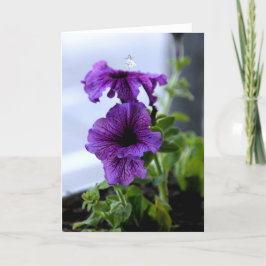 lavendelschaduwfee feestdagen kaart