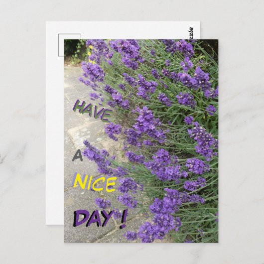Lavendelsnede. Tekst Heb een leuk dag Briefkaart (Voorkant / Achterkant)