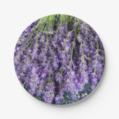 Lavendelstelen Papieren Borden Papieren Bordje (Voorkant)