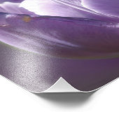 Lavendeltulp met kleine bijen 8x10 foto afdruk (Hoek)