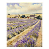 Lavendelveld Aquarelschilderij Foto Afdruk (Voorkant)