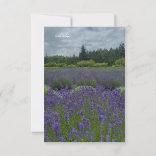 Lavendelveld, bewolkte dag notitiekaartje