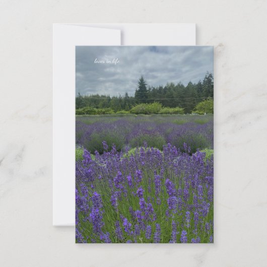 Lavendelveld, bewolkte dag notitiekaartje (Voorkant)