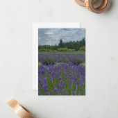Lavendelveld, bewolkte dag notitiekaartje (Voorkant / Achterkant in situ)