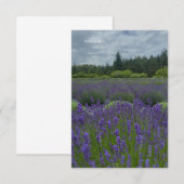 Lavendelveld, bewolkte dag notitiekaartje (Voorkant / Achterkant)