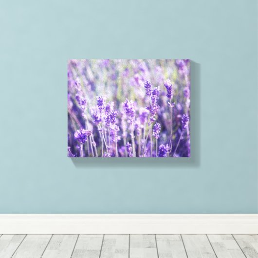 Lavendelveld Bloemen Canvas Afdruk (Insitu (Houten vloer))