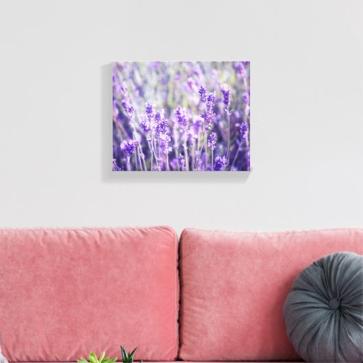 Lavendelveld Bloemen Canvas Afdruk (Insitu (Woonkamer))